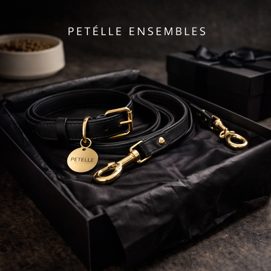 PETÉLLE ENSEMBLES