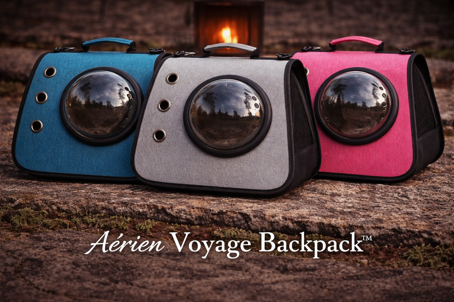 Aérien Voyage Backpack™