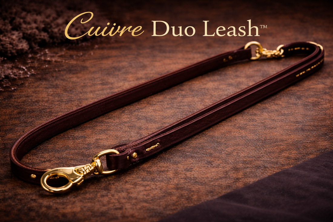 Cuivre Duo Leash™