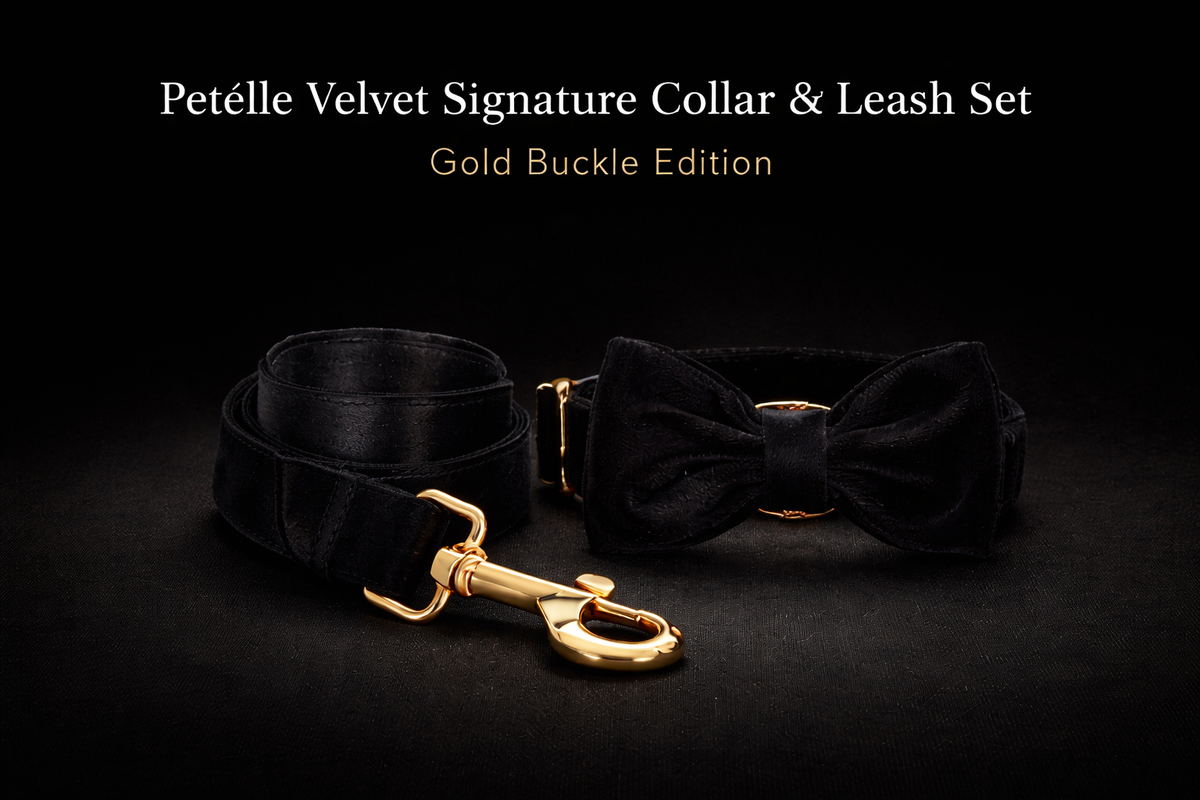 Velours Héritage Set™