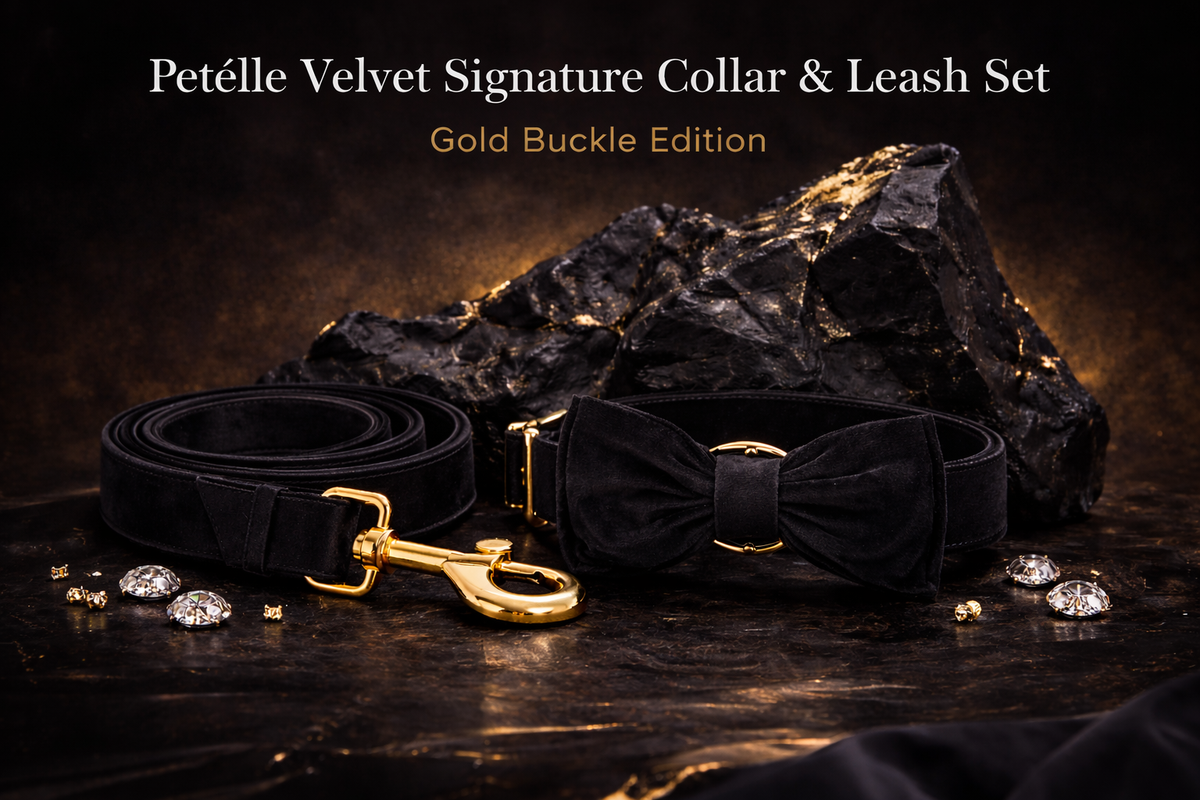 Velours Héritage Set™