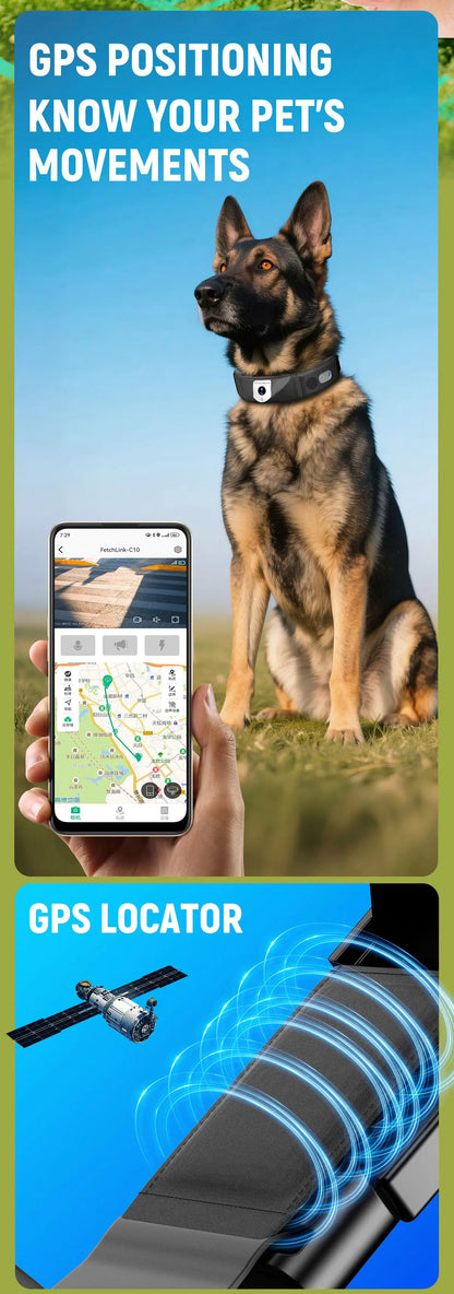 C10 Smart Pet Health Collar