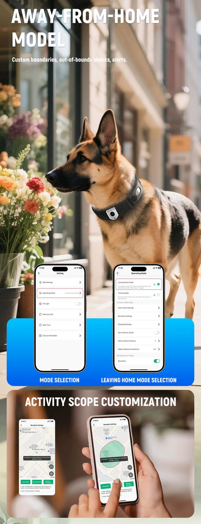 C10 Smart Pet Health Collar