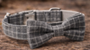 Heritage Plaid Collar™