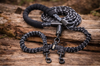 Duo Promenade Leash™